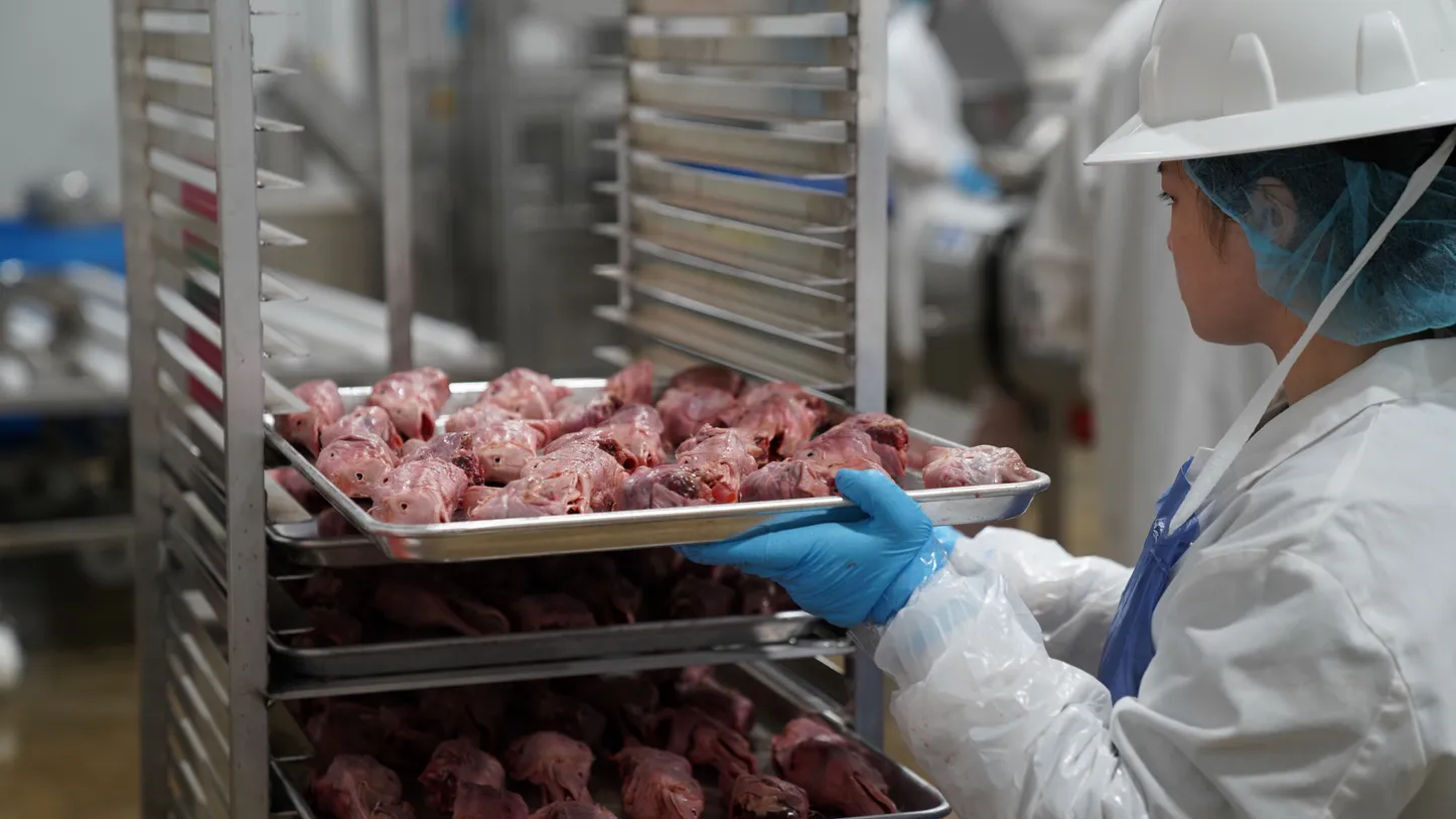 A worker wearing protective gear handles trays of raw meat in a food processing facility.