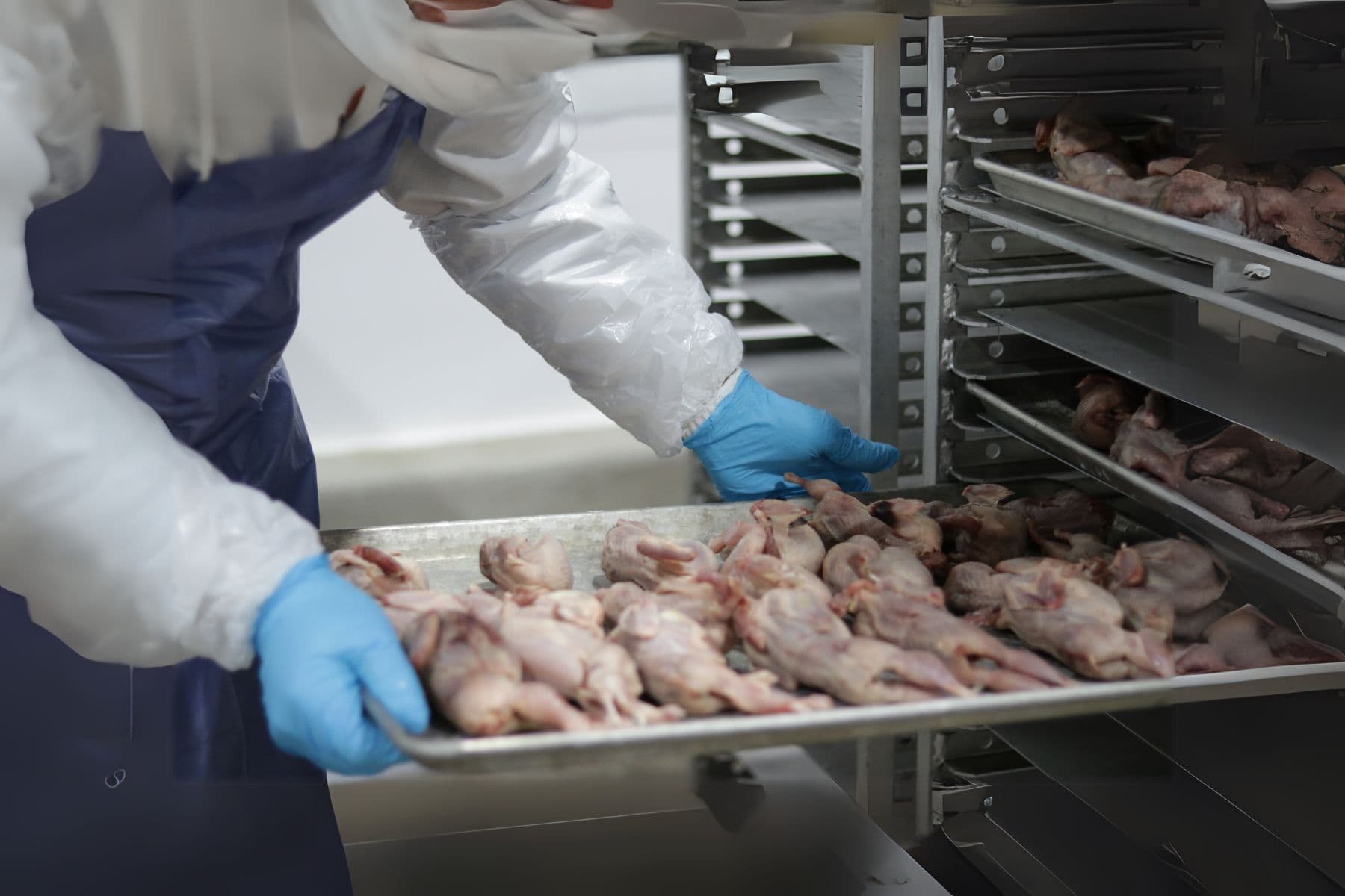 Worker in protective gear loading trays of raw quail into processing racks at Vital Essentials facility
