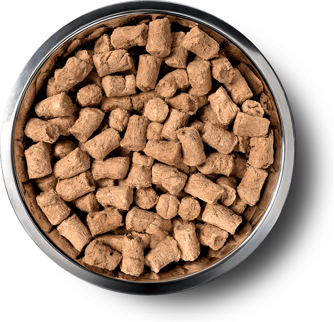 VE_InBowl_SoftNibs_Cat_Pork.png