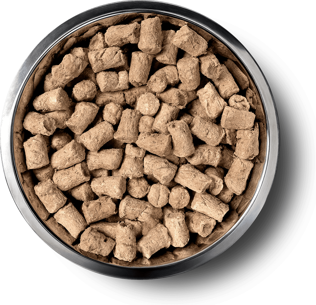 VE_InBowl_SoftNibs_Dog_Quail.png